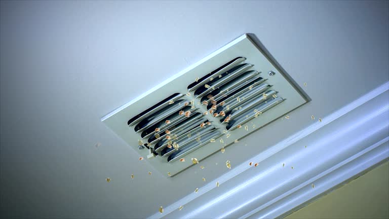 Best Residential Air Duct Cleaning  in Fort Washakie, WY