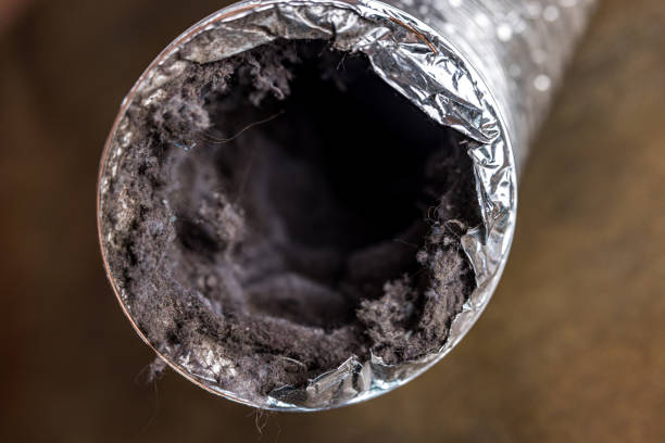 Best Professional Duct Cleaning Services  in Fort Washakie, WY