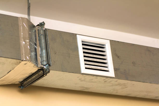 Best Air Duct Inspection  in Fort Washakie, WY